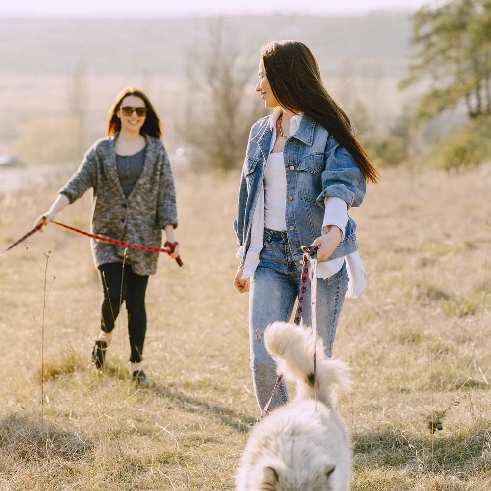 Two friends walking their dogs together in Pangrati